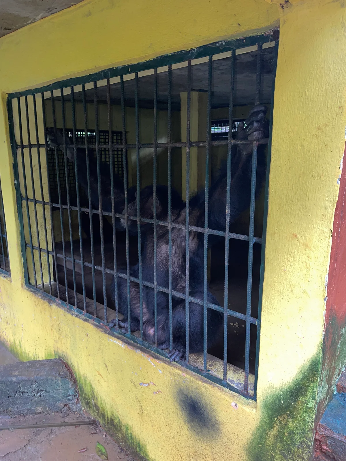 Sierra Leone, photo 3