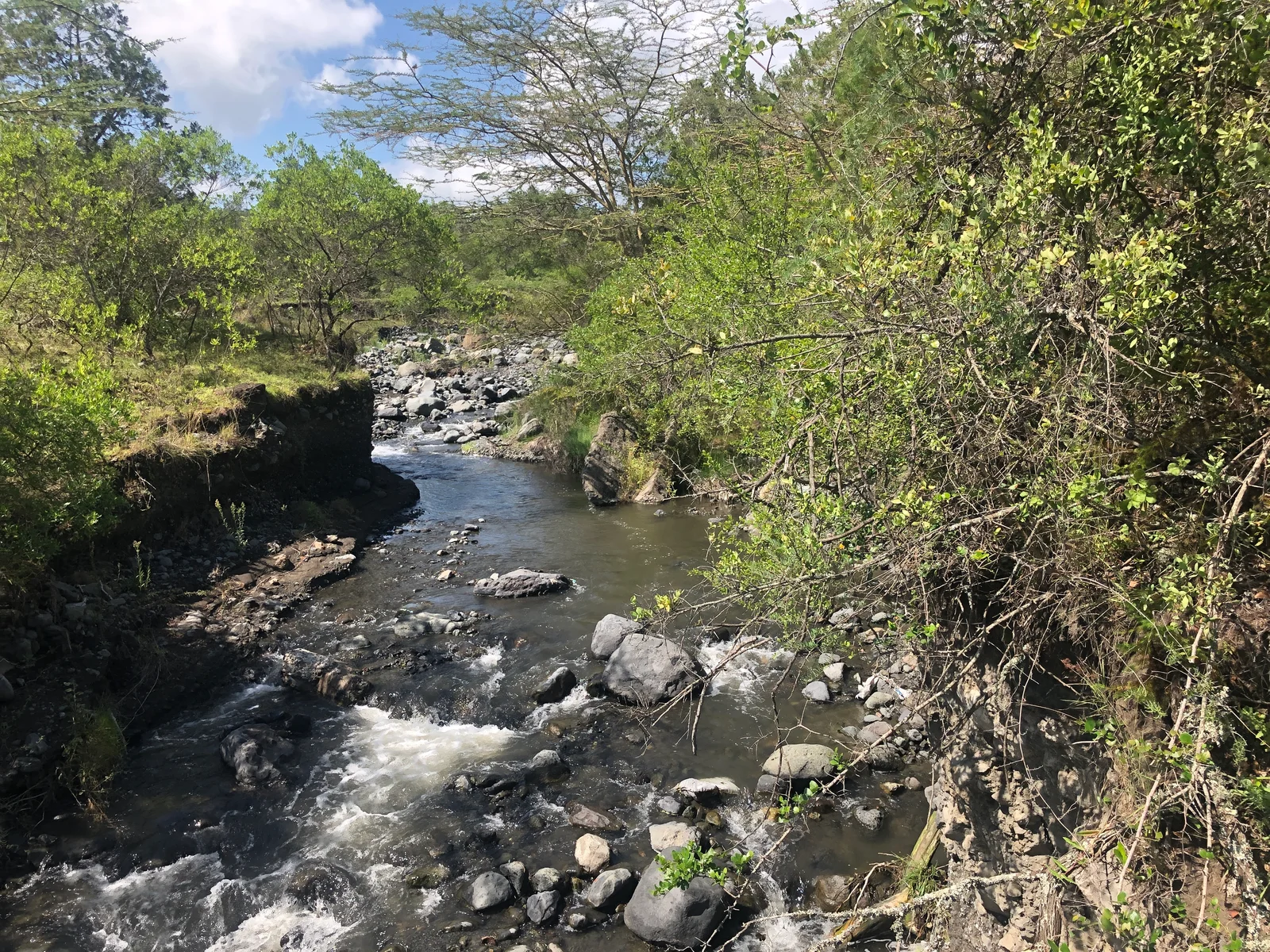 Tanzania, photo 7