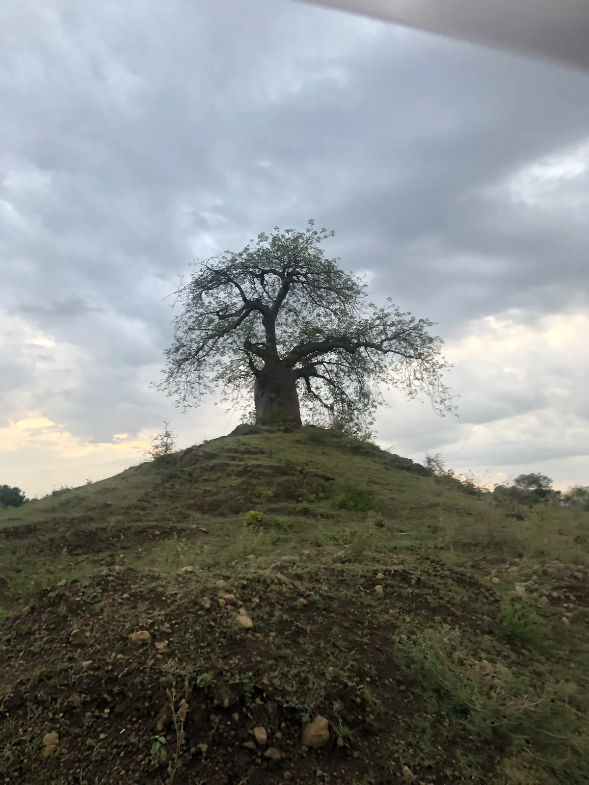 Tanzania, photo 3