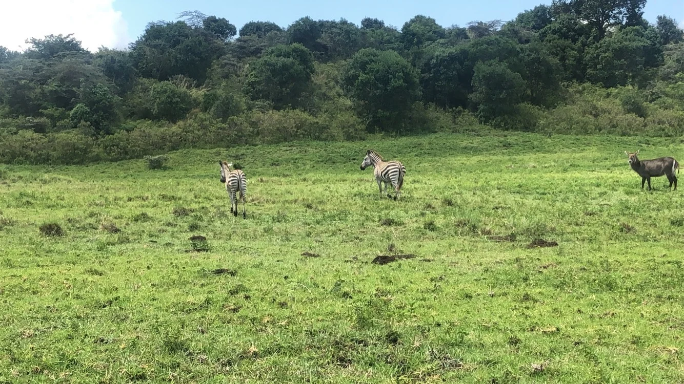 Tanzania, photo 6